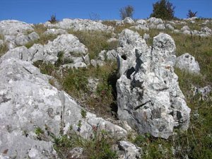 Геология Крыма